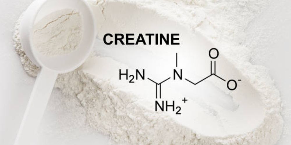 Best creatine for begineer